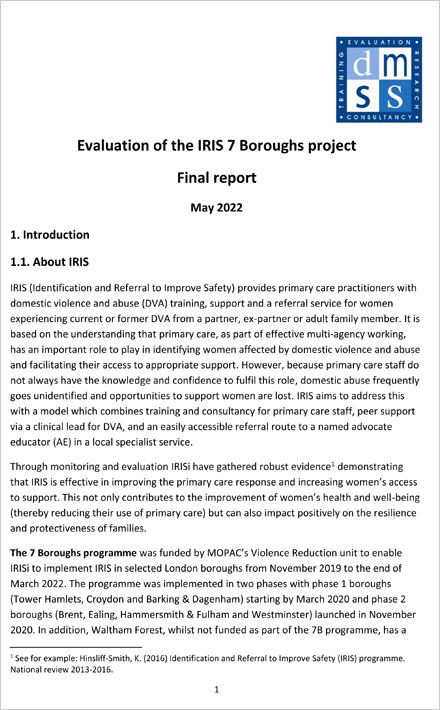 IRISi 7 Boroughs Programme Report